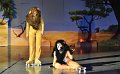 Lionking 0513